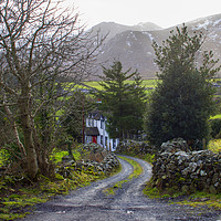 Buy canvas prints of Country House down a lane on the Mourne Mountains by Michael Harper
