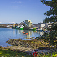 Buy canvas prints of Trawlers at the quayside at Ardglass Harbour North by Michael Harper