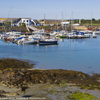 Buy canvas prints of The small marina at Ardglass County Down in Northern Ireland by Michael Harper