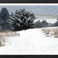 Buy canvas prints of Winter in Montana by Larry Stolle