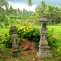 Buy canvas prints of Balinese Rice Field Shrines by Mark Sellers