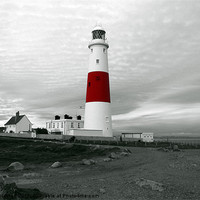 Buy canvas prints of Portland Bill Lighthouse by Sean Foreman
