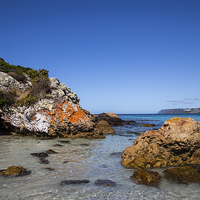 Buy canvas prints of  Boat Harbour Beach by Sean Foreman