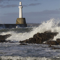 Buy canvas prints of Aberdeen Harbour Head Photo by Bill Buchan