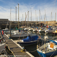 Buy canvas prints of Whitehills Harbour Photo by Bill Buchan