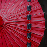Buy canvas prints of  Traditional Japanese Umbrella by david harding