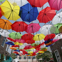 Buy canvas prints of  Colourful Umbrellas by david harding