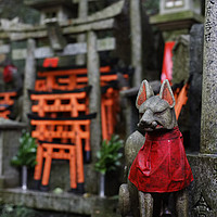 Buy canvas prints of Japan Kyoto Fushima-Inari Shrine by david harding