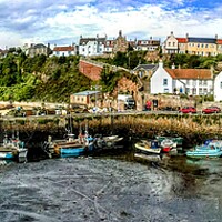 Buy canvas prints of 360 Crail Harbour  by Laura McGlinn Photog