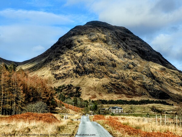 Dalness Estate Etive Scotland  Picture Board by Laura McGlinn Photog