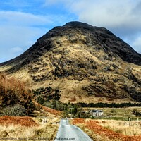 Buy canvas prints of Dalness Estate Etive Scotland  by Laura McGlinn Photog