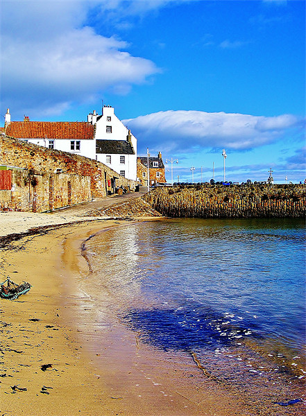 Crail in Summer Picture Board by Laura McGlinn Photog