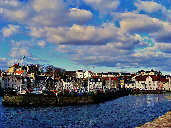 Pittenweem Harbour Picture Board by Laura McGlinn Photog