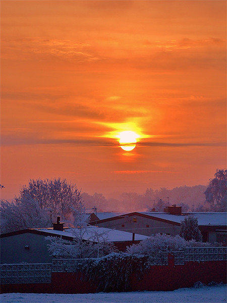 Winter Sunrise Picture Board by Laura McGlinn Photog