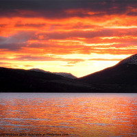 Buy canvas prints of Loch Earn Red by Laura McGlinn Photog