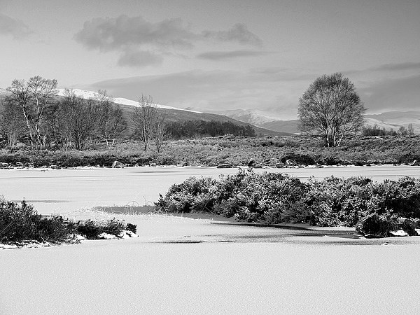  Across Rannoch Moor Picture Board by Laura McGlinn Photog