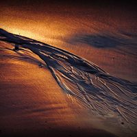 Buy canvas prints of  Golden Sand by Laura McGlinn Photog