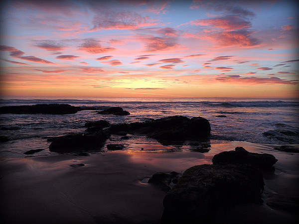  Dornoch Sunrise Picture Board by Laura McGlinn Photog