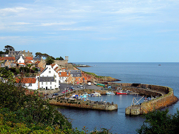  Crail Harbour Picture Board by Laura McGlinn Photog