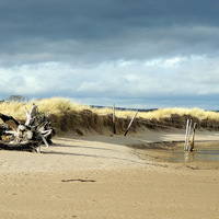 Buy canvas prints of  Tentsmuir Dunes by Laura McGlinn Photog