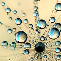 Buy canvas prints of A Burst of Fairy Drops by Sharon Johnstone
