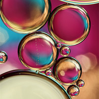 Buy canvas prints of Bubble Fun by Sharon Johnstone