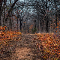 Buy canvas prints of Winter Time Colors by Doug Long