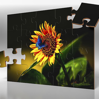 Buy canvas prints of Butterflys-N-Flowers Puzzle by Doug Long