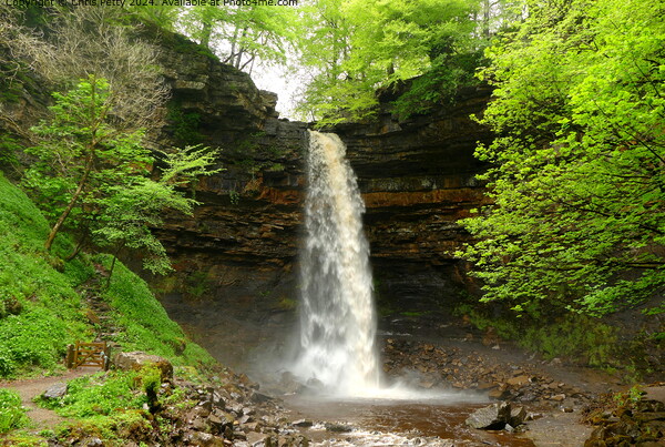Hardraw Force Waterfall, Yorkshire Dales Picture Board by Chris Petty