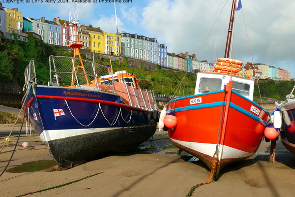 Tenby Harbour Boats  Picture Board by Chris Petty
