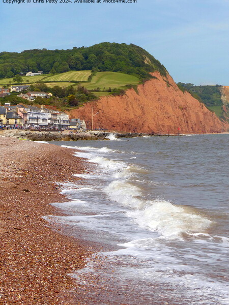 Sidmouth, Devon Picture Board by Chris Petty