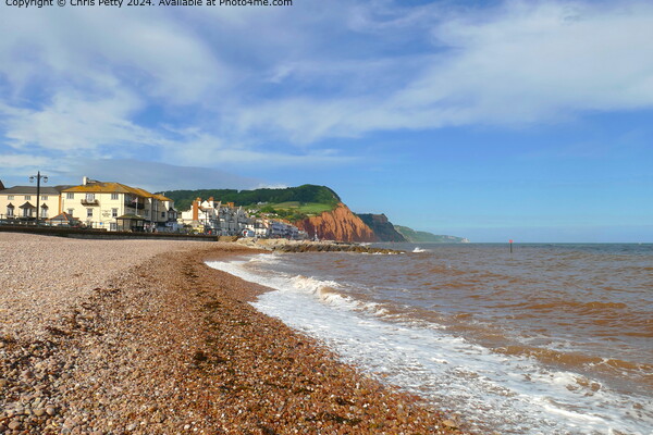 Sidmouth Beach, Devon Picture Board by Chris Petty