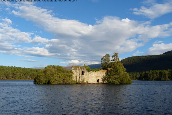 Loch An Eilein Cairngorms Landscape Picture Board by Chris Petty