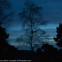 Buy canvas prints of New forest evening blue sky by Gordon Dimmer