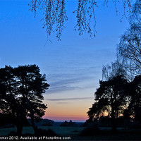 Buy canvas prints of New Forest scenic sunset by Gordon Dimmer