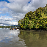 Buy canvas prints of Autumn Colours on the River Dart by Gordon Dimmer