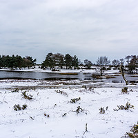 Buy canvas prints of Hatchet Pond in Snow by Gordon Dimmer