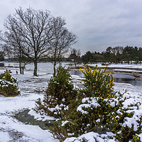 Buy canvas prints of An alternative view of Hatchet Pond in the snow by Gordon Dimmer
