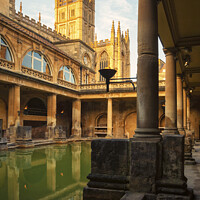 Buy canvas prints of Bath Pump Room at Sunset in Spring by Paul Brewer