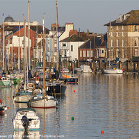 Buy canvas prints of Weymouth Harbour by Paul Brewer