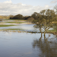 Buy canvas prints of Floods at Fiddleford by Paul Brewer