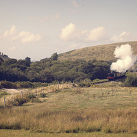 Buy canvas prints of Corfe Castle Train by Paul Brewer