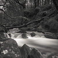 Buy canvas prints of Golitha Falls in Black and White by Paul Brewer