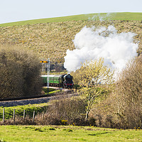 Buy canvas prints of Flying Scotsman on Swanage Railway by Paul Brewer