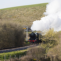 Buy canvas prints of Flying Scotsman Steaming through the Purbecks by Paul Brewer