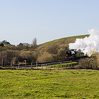 Buy canvas prints of Flying Scotsman passes through the Purbeck Country by Paul Brewer