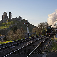 Buy canvas prints of Flying Scotsman passes Corfe Castle by Paul Brewer