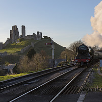 Buy canvas prints of Flying Scotsman passes Corfe Castle by Paul Brewer