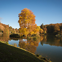 Buy canvas prints of Stourhead Gardens Wiltshire by Paul Brewer