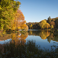 Buy canvas prints of The beautiful gardnes at Stourhead Wiltshire by Paul Brewer